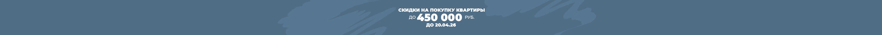 Скидка 450 000 руб