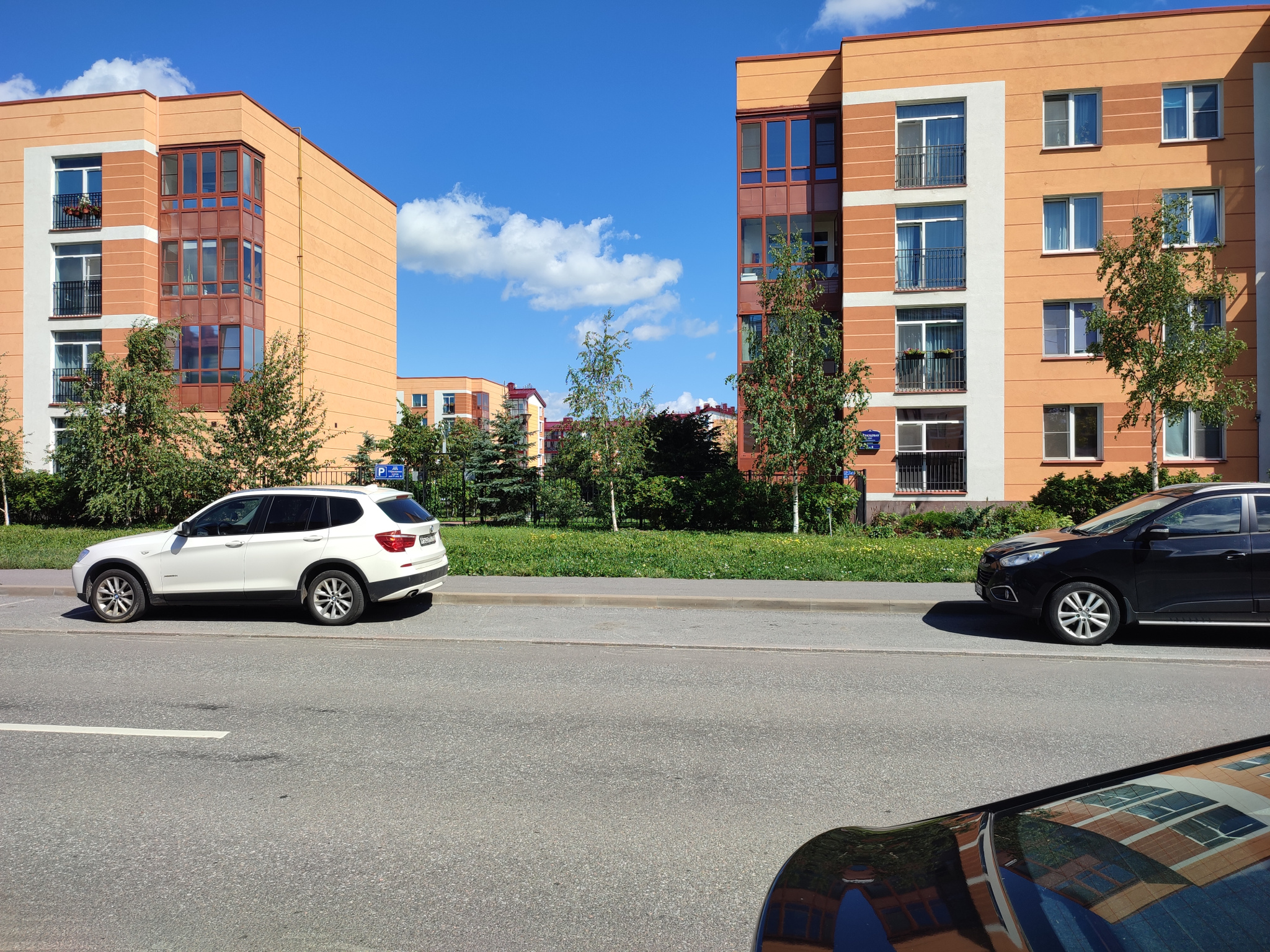 IMG_20230805_125134.jpg