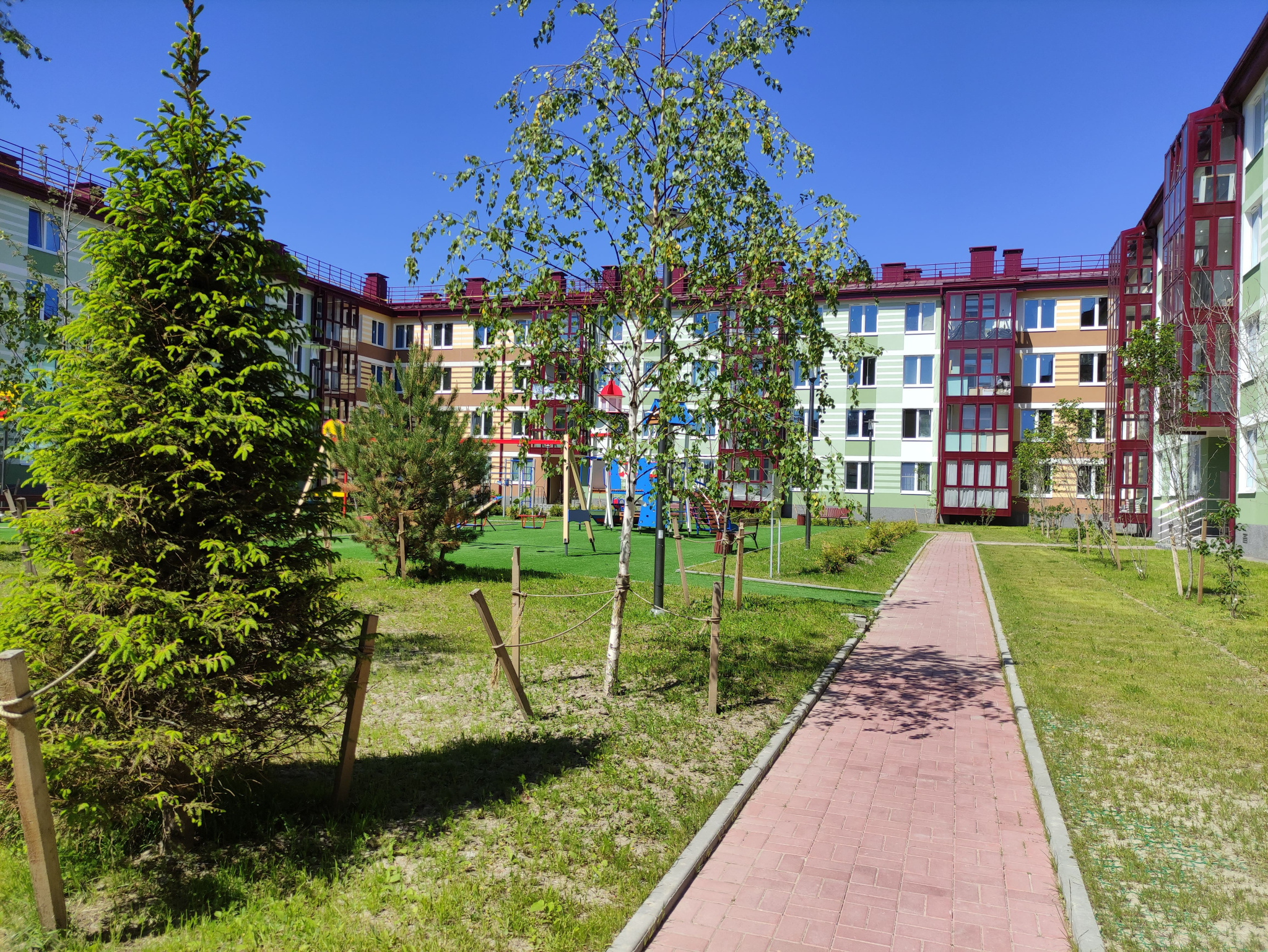 IMG_20220624_122337.jpg